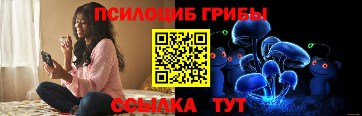 Псилоцибиновые грибы прущие грибы  купить наркотики сайты  Зерноград  Вход с VPN  Галлюциногенные грибы мицелий 